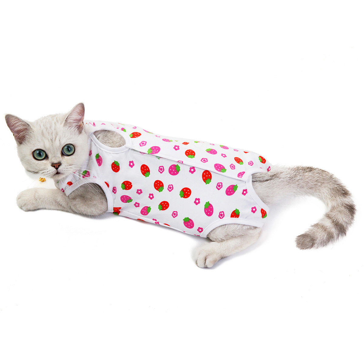 KFX-4504125 Breathable Cotton Physiological Pants for Pets in Fun Colors