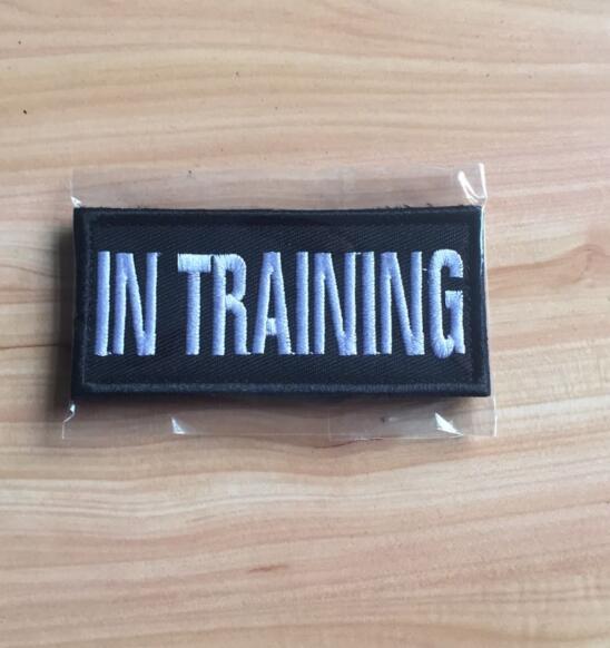 KFX-4505021 Pet-Themed Embroidered Badge Fabric Patch for Clothing, 9x4cm