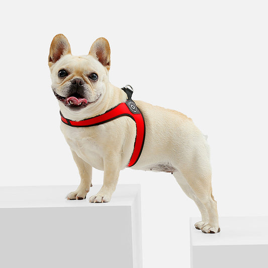 KFX-4510781 Pet Leather Chest Strap for Small Dogs in Multiple Colors