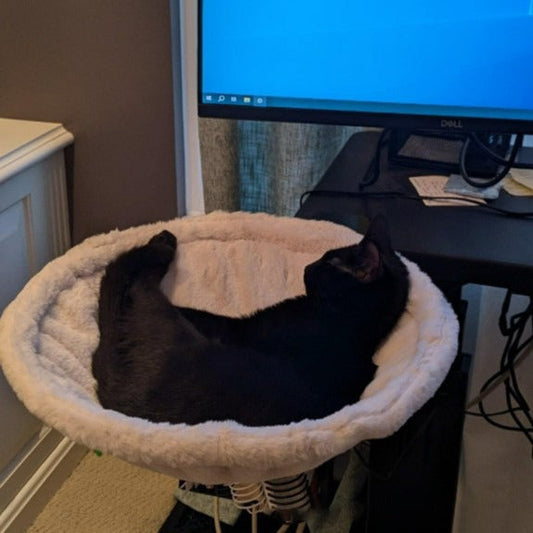KFX-4515517 Adjustable Ergonomic Cat Hammock Bed - 42.5cm Diameter - White Plastic