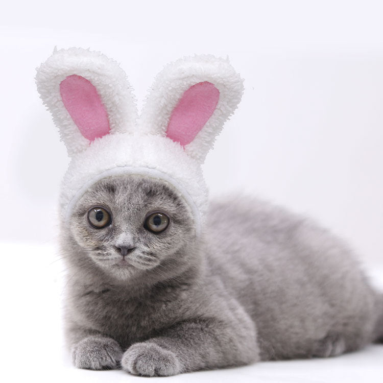 KFX-4516285 Warm White Cashmere Rabbit Ears Pet Hat for 5-15 Cat Weight, 120cm Length