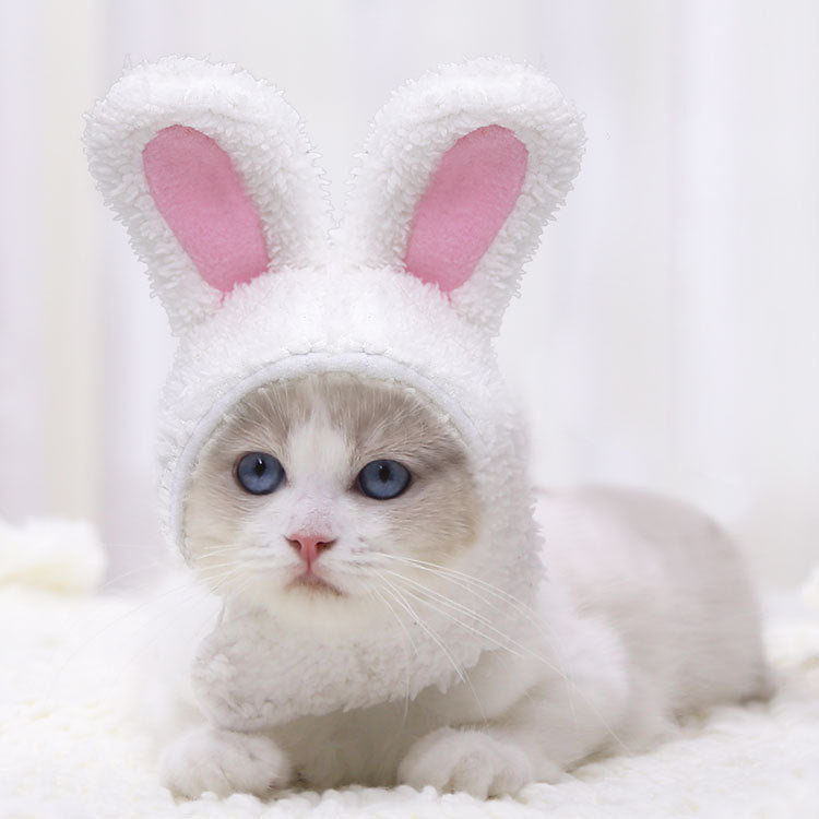 KFX-4516285 Warm White Cashmere Rabbit Ears Pet Hat for 5-15 Cat Weight, 120cm Length