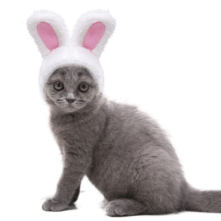 KFX-4516285 Warm White Cashmere Rabbit Ears Pet Hat for 5-15 Cat Weight, 120cm Length