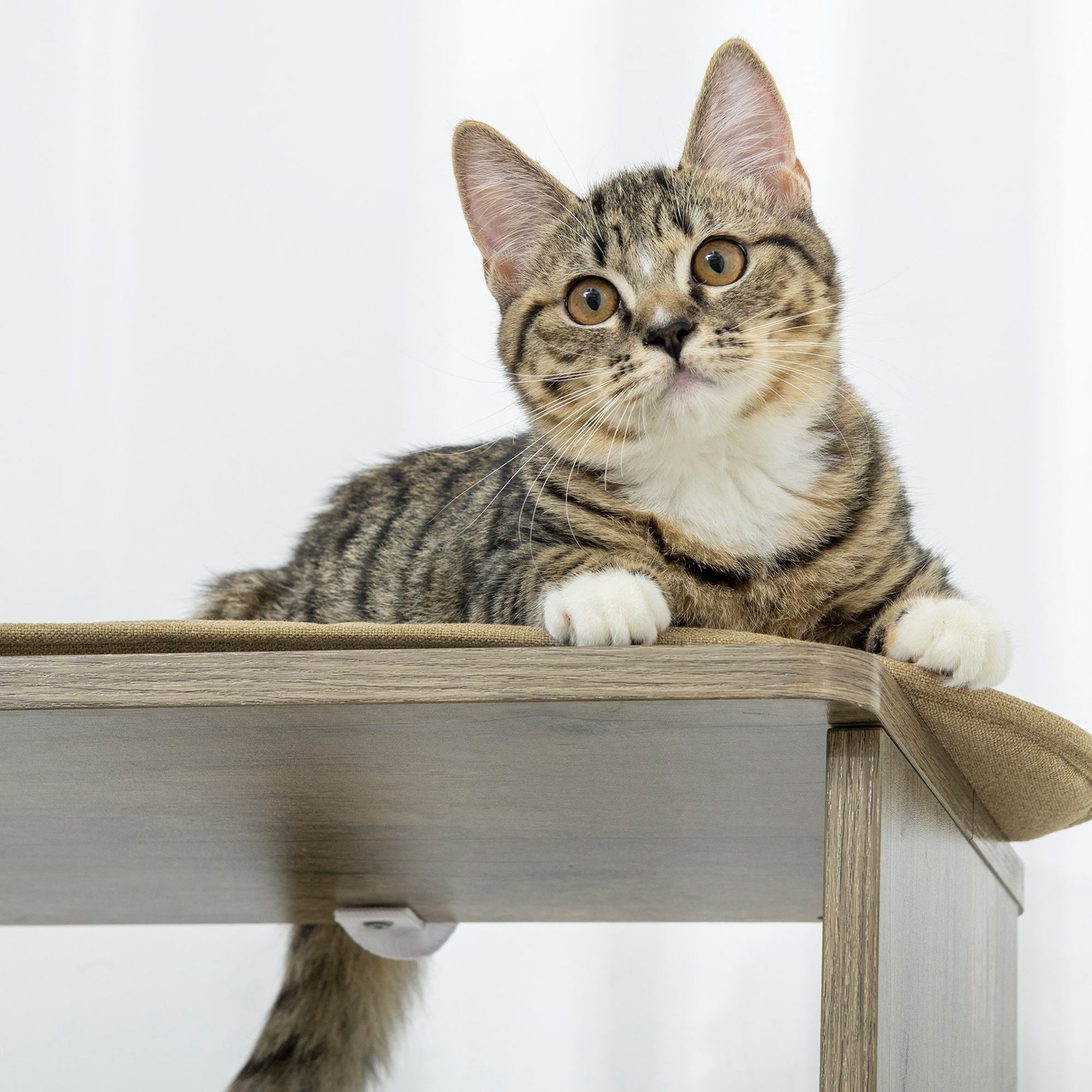 KFX-4520509 65" Corner Cat Tree with Multi-Level Platforms and Sisal Scratching Posts