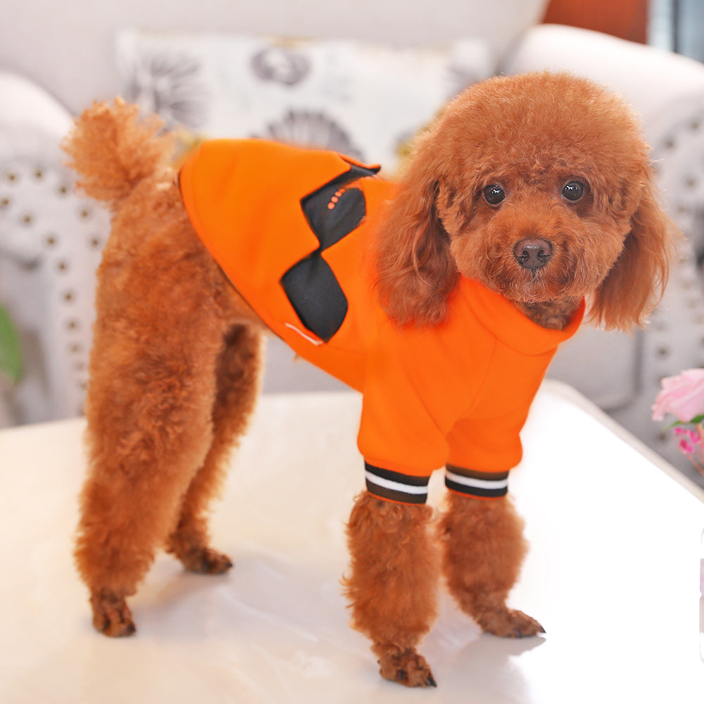 KFX-4522301 Pumpkin Halloween Costume for Dogs - Cozy Casual Sweater Outfit