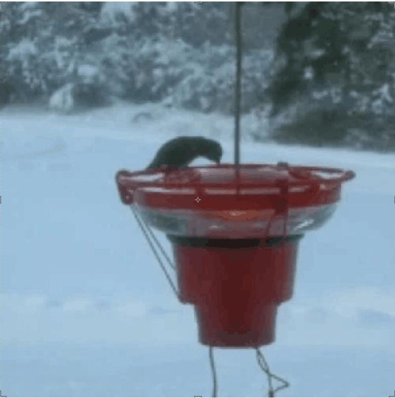 KFX-4523197 Hummingbird Feeder Heater with 15W Bulb for Winter Protection - Easy to Attach and Efficient Warmth