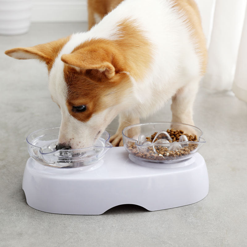 KFX-4528957 Dual Purpose Cat Ears Double Bowl for Food and Water - White Plastic Design