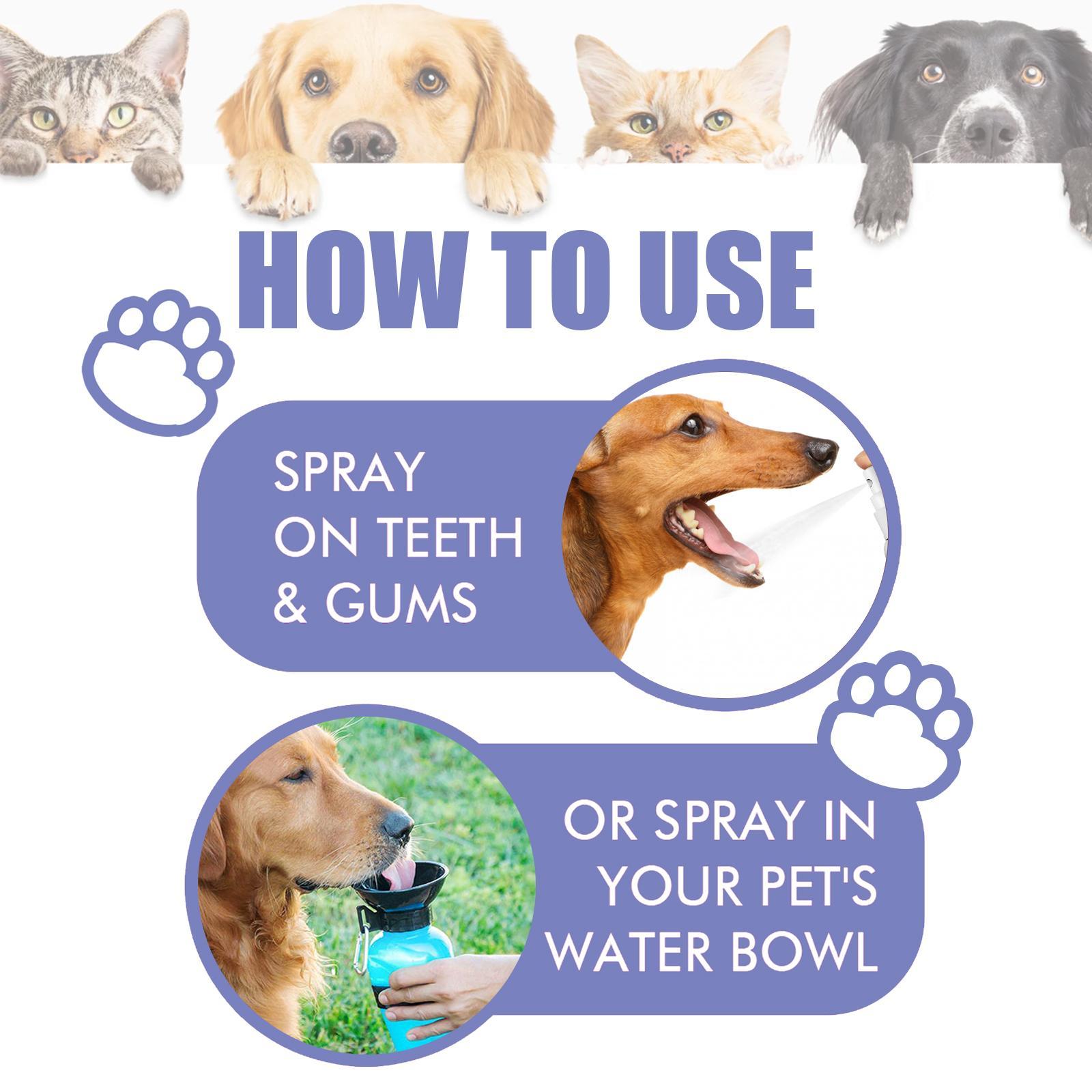 KFX-4530621 Pet Oral Cleaning Spray for Cats and Dogs - Fresh Breath and Gum Care
