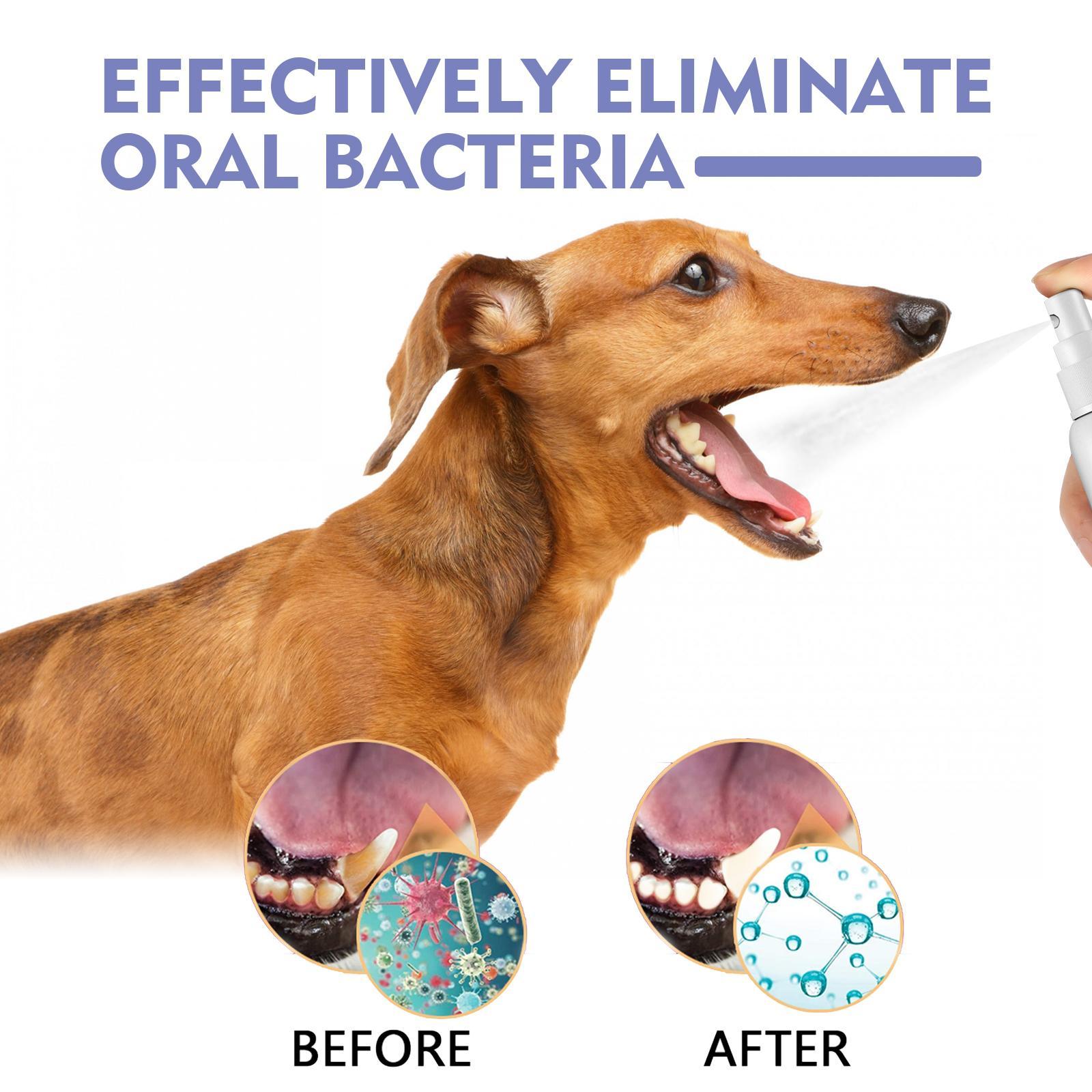KFX-4530621 Pet Oral Cleaning Spray for Cats and Dogs - Fresh Breath and Gum Care