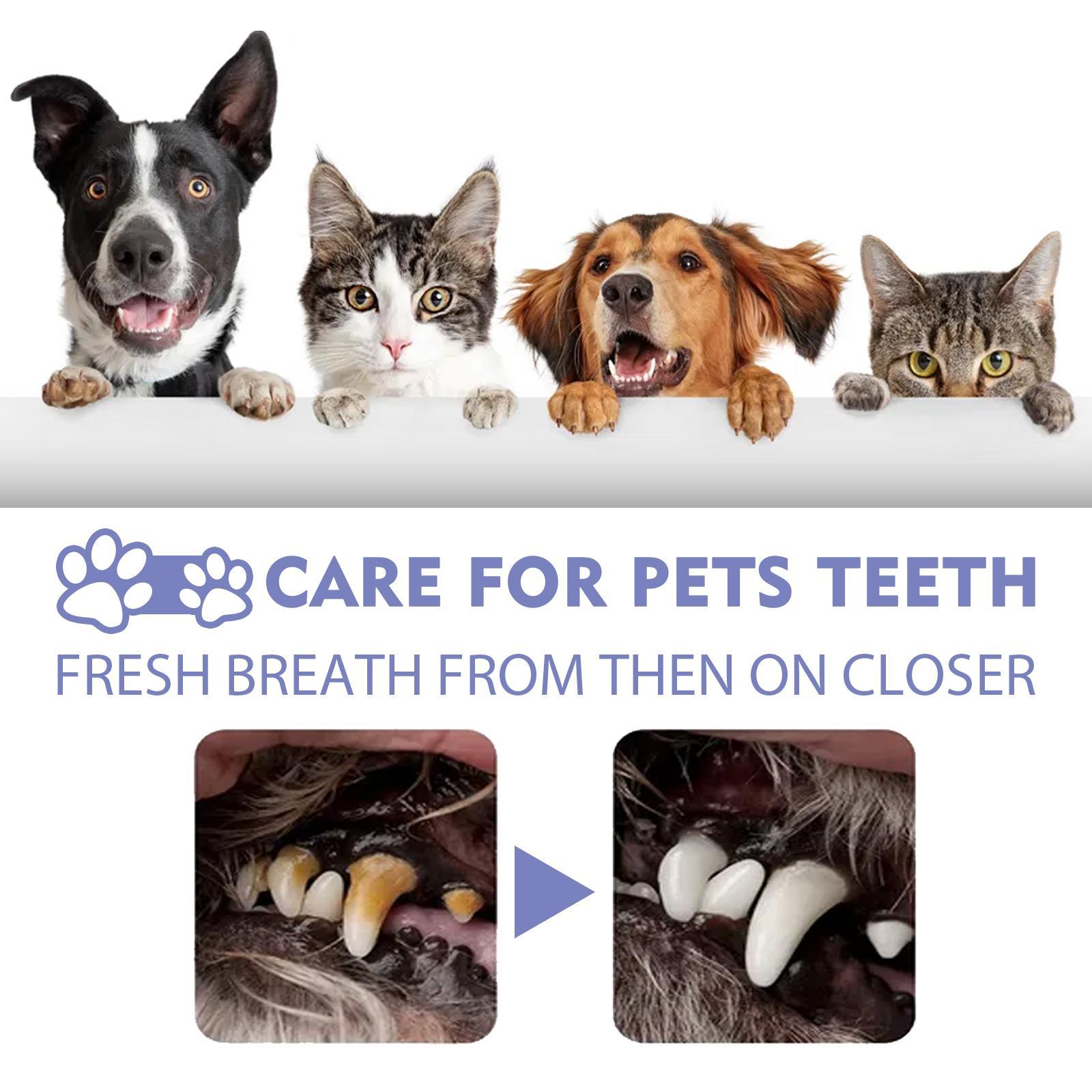 KFX-4530621 Pet Oral Cleaning Spray for Cats and Dogs - Fresh Breath and Gum Care