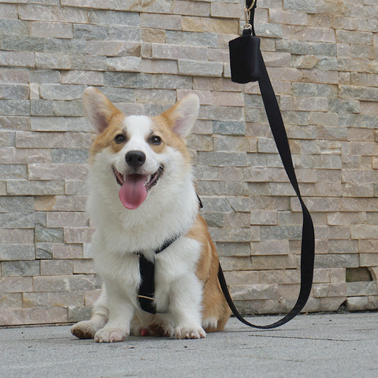 KFX-4532029 Pet Outing Chest Strap - Available in Pink Velvet, Black Velvet, Cream Velvet, and Gem Green Velvet, Sizes XS, S, M, L