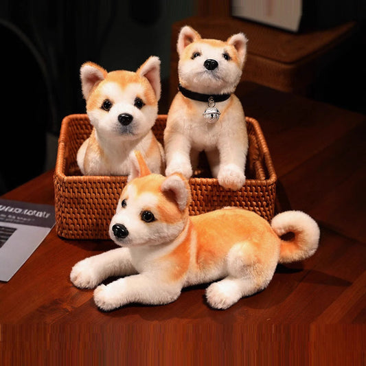 KFX-4538173 Akita Plush Toy in Various Poses: Lying, Sitting, and Standing Options