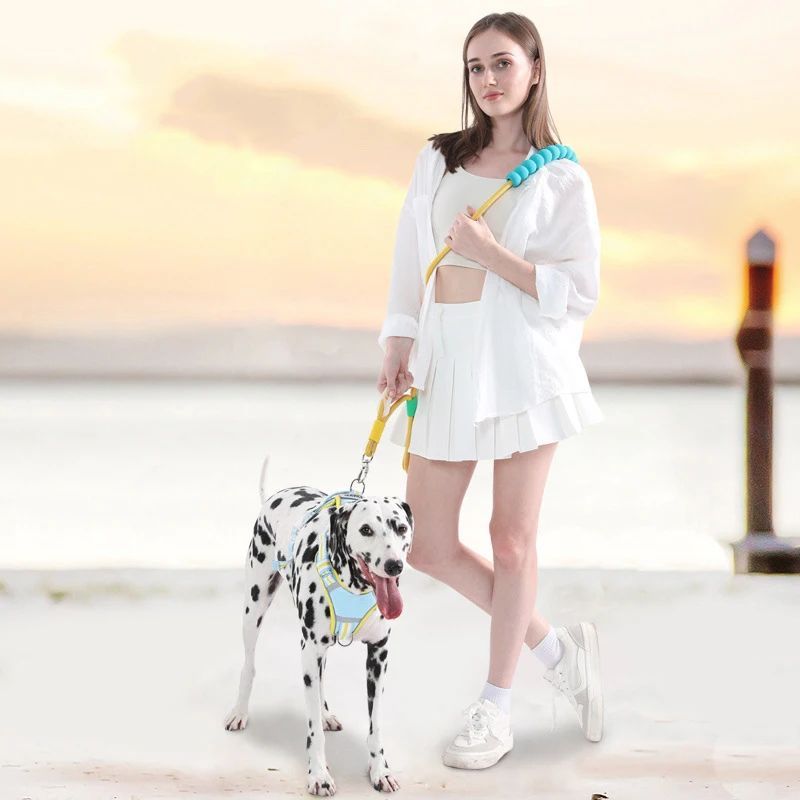 KFX-4544061 Durable Nylon Pet Traction Leash with Comfortable Foam Handle, 140cm Length, Anti-Slip Design