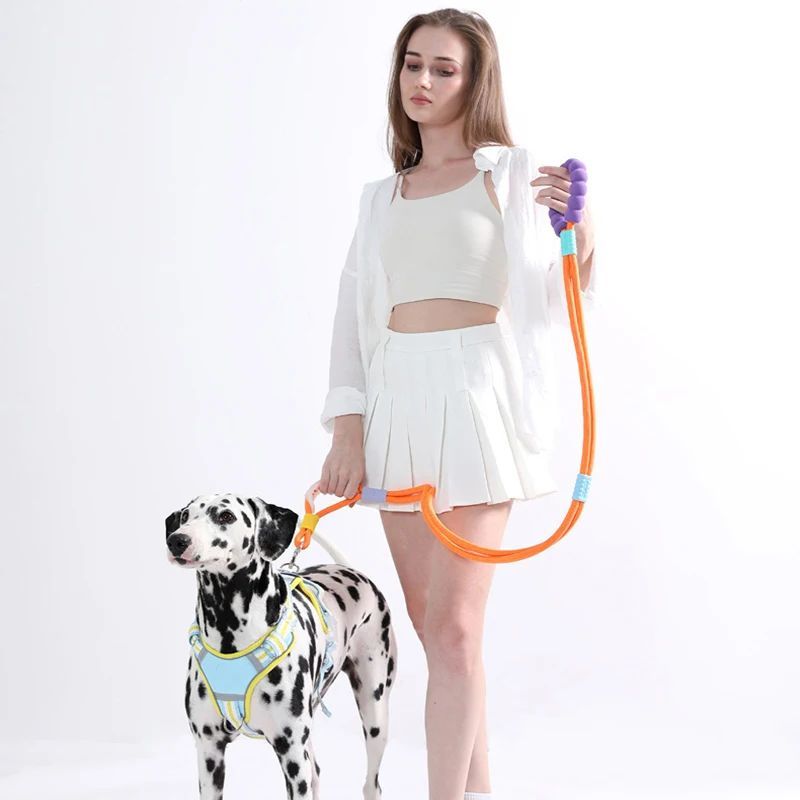 KFX-4544061 Durable Nylon Pet Traction Leash with Comfortable Foam Handle, 140cm Length, Anti-Slip Design