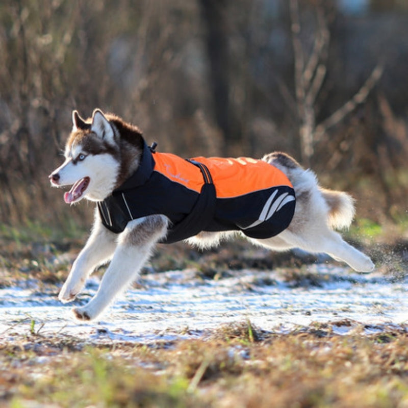 KFX-4549821 Winter Warm Pellet Down Jacket for Dogs – Waterproof and Flame-Retardant Vest in Black, Green, and Orange