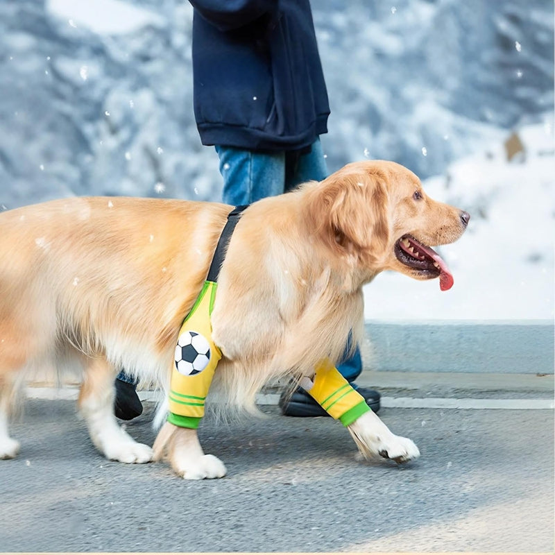 KFX-4557373 Dog Rehabilitation Recovery Suit with Wear-Resistant Sleeves and Ankle Joint Protection