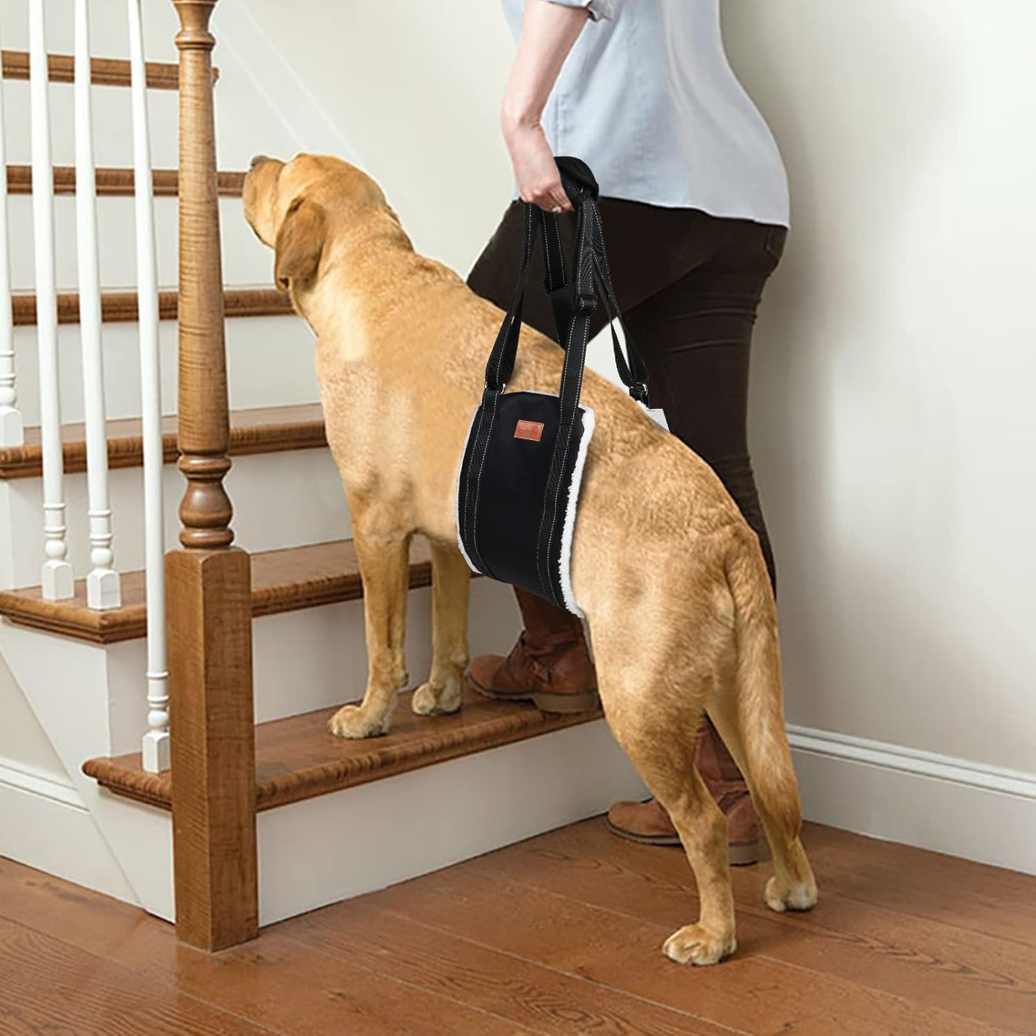 KFX-4568765 Supportive Dog Lifting Sling for Mobility Aid - Comfortable Hip and Hind Leg Assistance for Aging Dogs