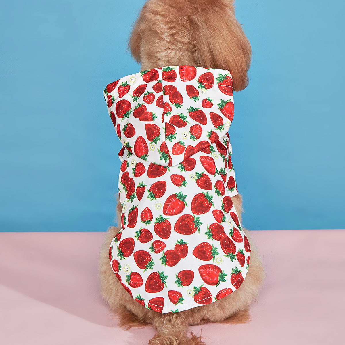 KFX-4571837 Waterproof Strawberry Print Dog Raincoat for Spring and Summer in Multiple Sizes