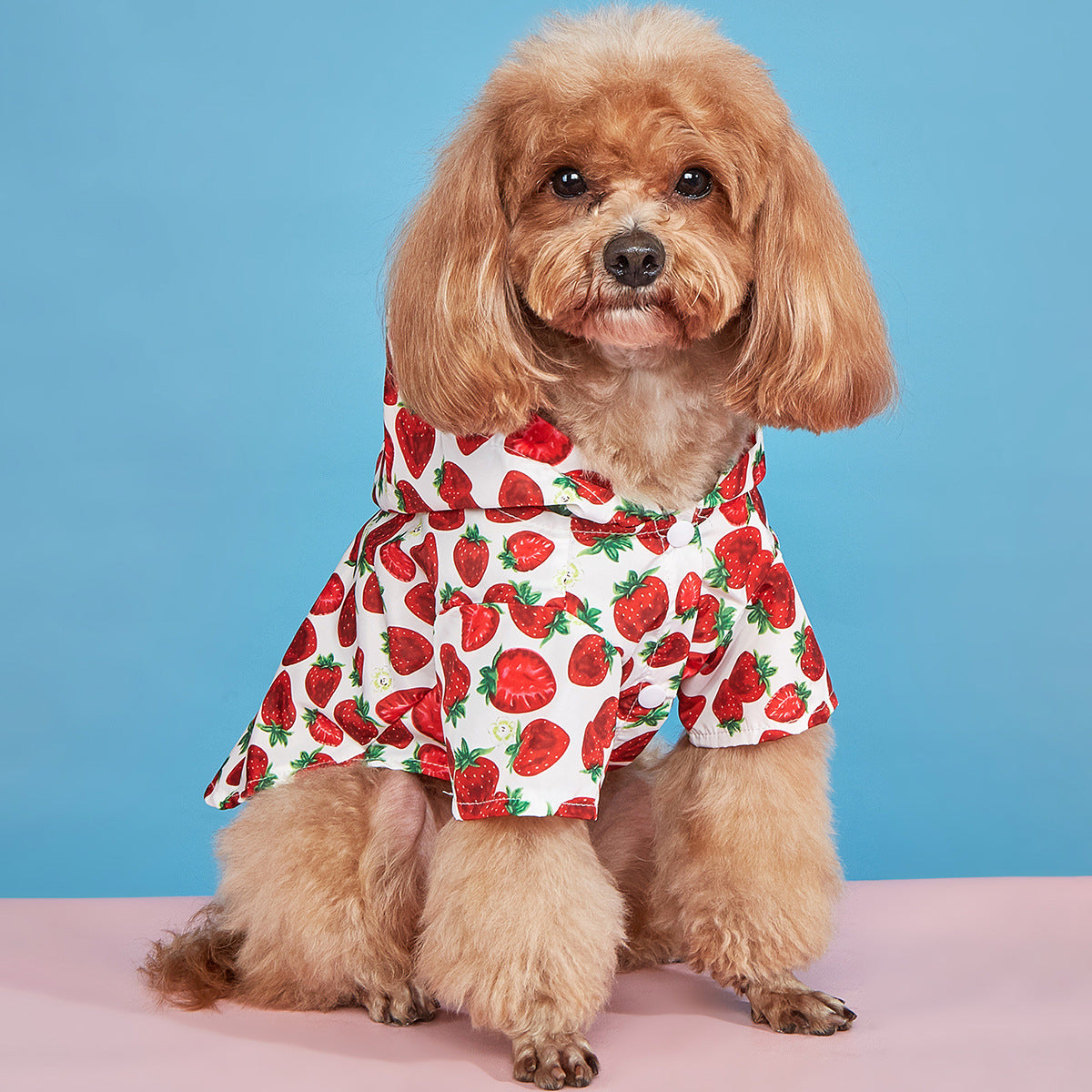 KFX-4571837 Waterproof Strawberry Print Dog Raincoat for Spring and Summer in Multiple Sizes