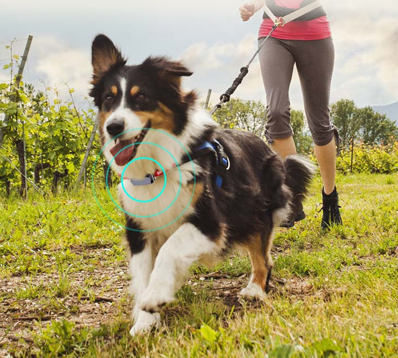 KFX-4573245 Pet GPS Tracking Collar with LED Light and 500 mAh Battery