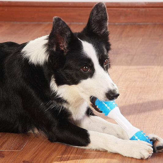 KFX-4578493 Gentle Chewing Dog Toy for Teething Puppies - Promotes Dental Health and Reduces Discomfort