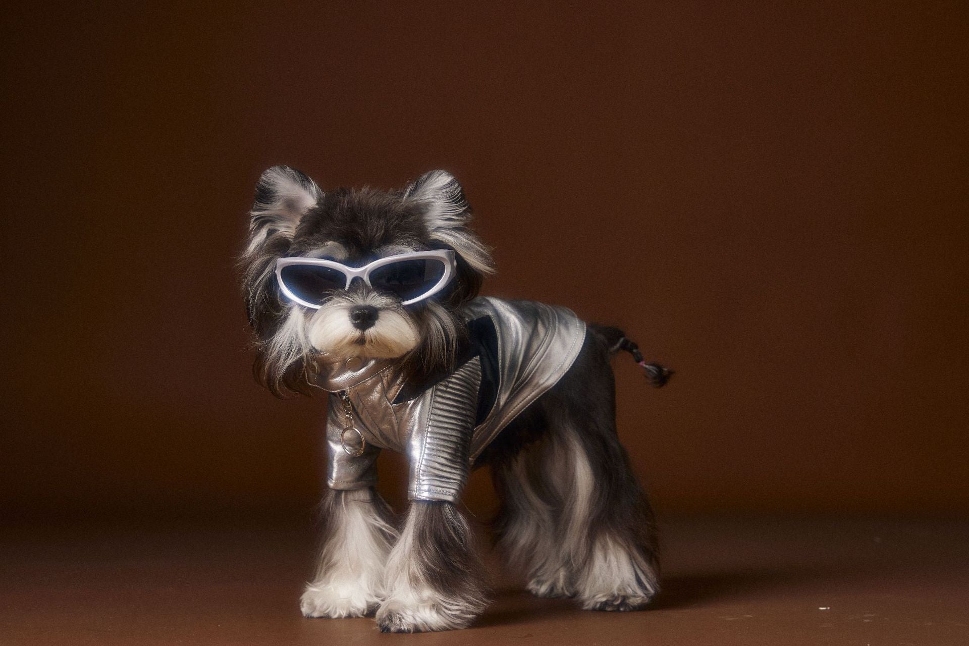 KFX-4581565 Handsome Distressed Silver Leather Coat for Teddy Schnauzer Bichon - Available in Multiple Sizes