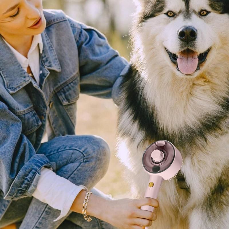 KFX-4584253 Multifunctional Cat Dog Steam Brush with USB Rechargeable Defur Comb for Long and Short Hair