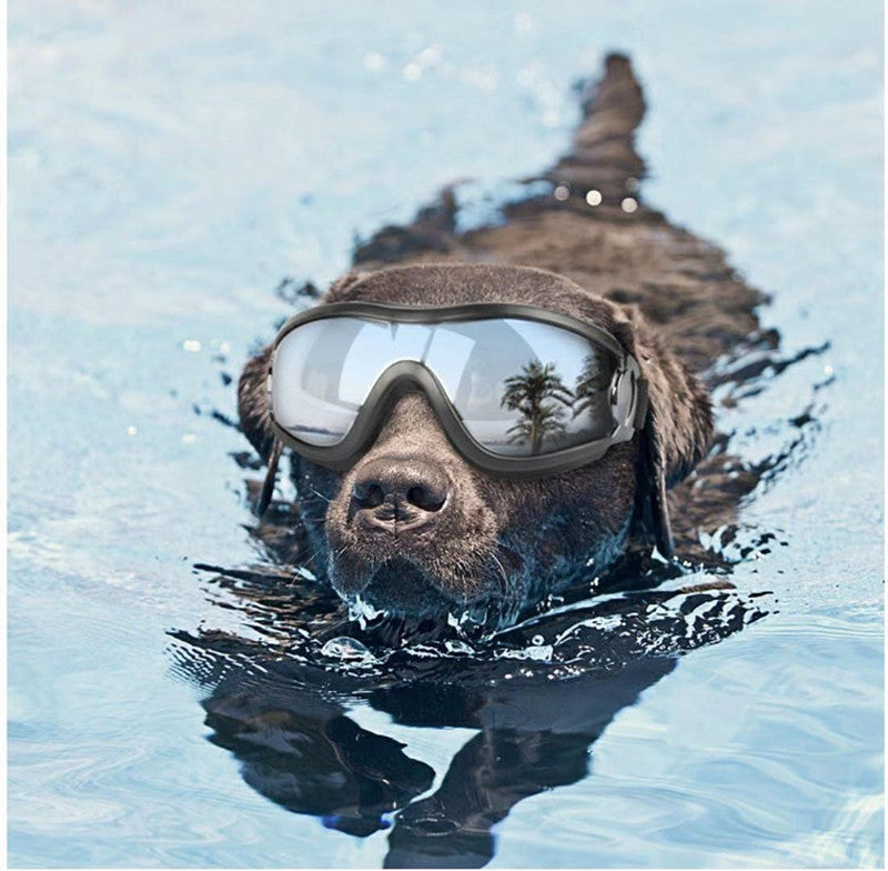 KFX-4590141 Waterproof and Windproof UV Protection Glasses for Dogs, Adjustable Fit for 28cm-48cm Head Circumference