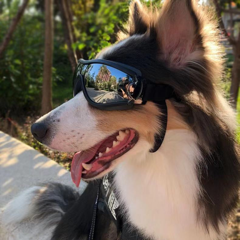 KFX-4590141 Waterproof and Windproof UV Protection Glasses for Dogs, Adjustable Fit for 28cm-48cm Head Circumference