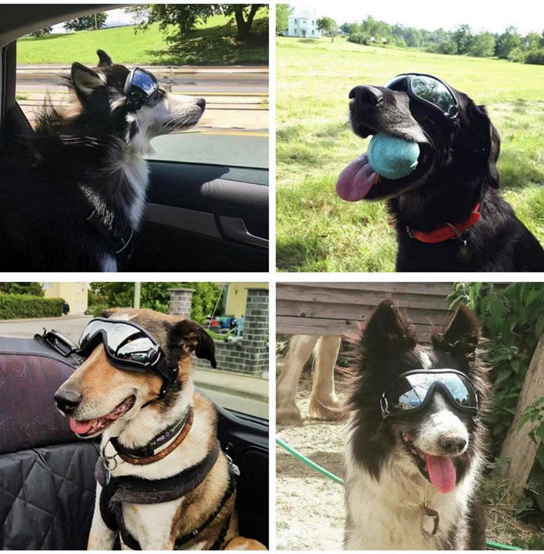 KFX-4590141 Waterproof and Windproof UV Protection Glasses for Dogs, Adjustable Fit for 28cm-48cm Head Circumference