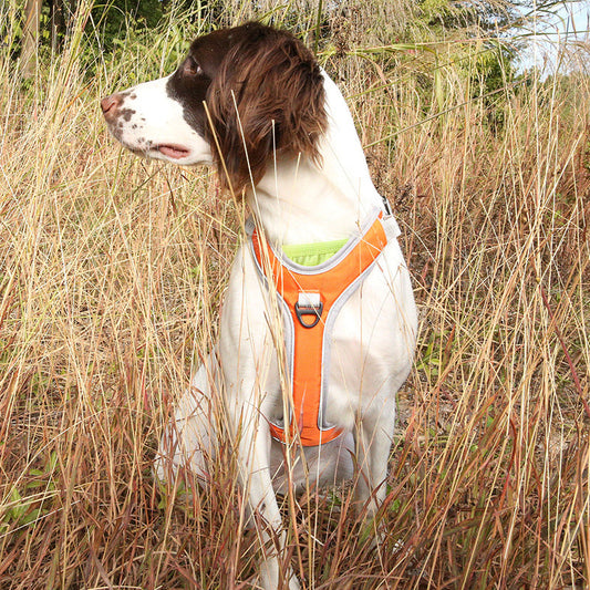 KFX-4597565 Adjustable Outdoor Trekking Chest and Back Strap for Big Dogs