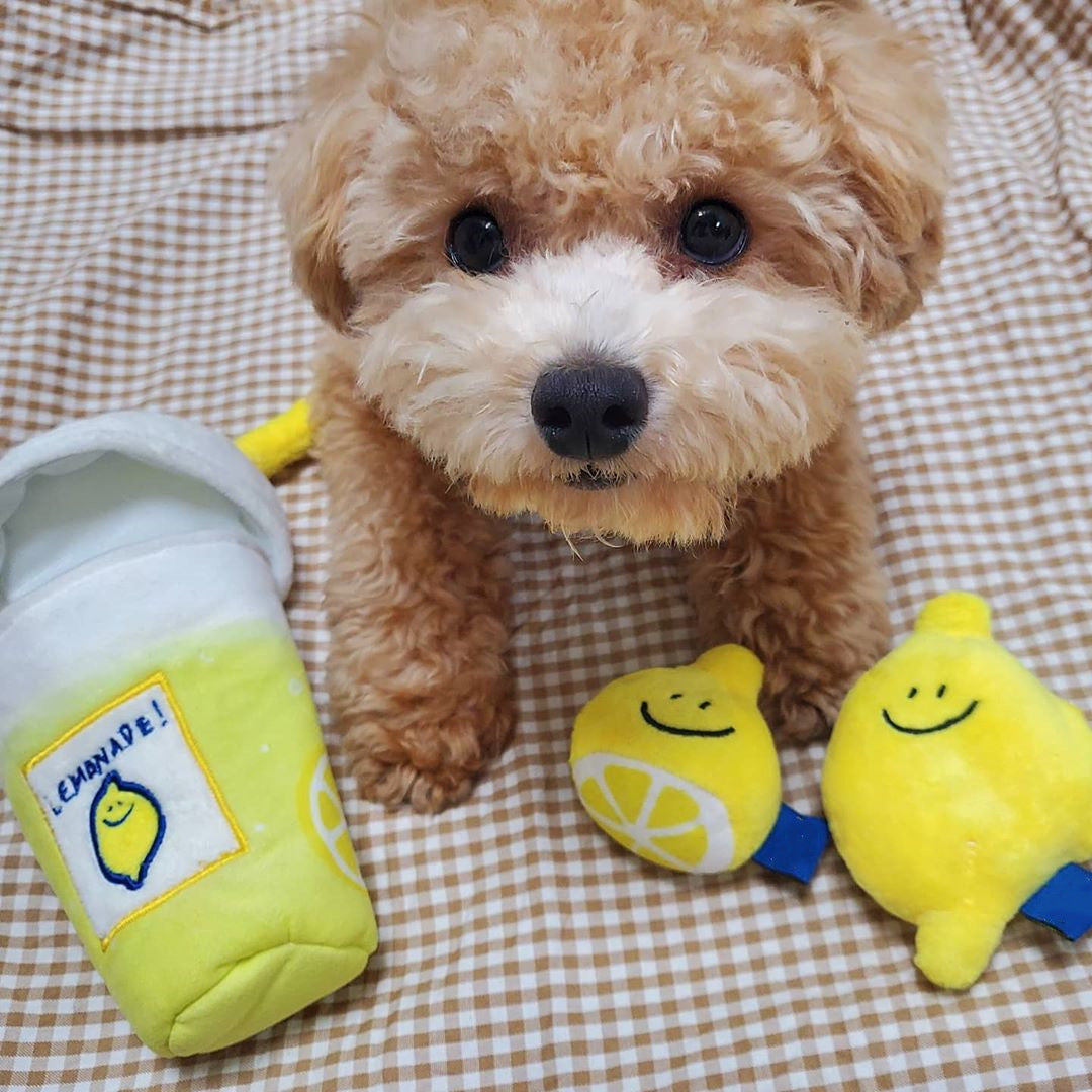 KFX-4599101 Plush Lemon Tea Cup Toy with Snack Pocket and BB Call for Pets