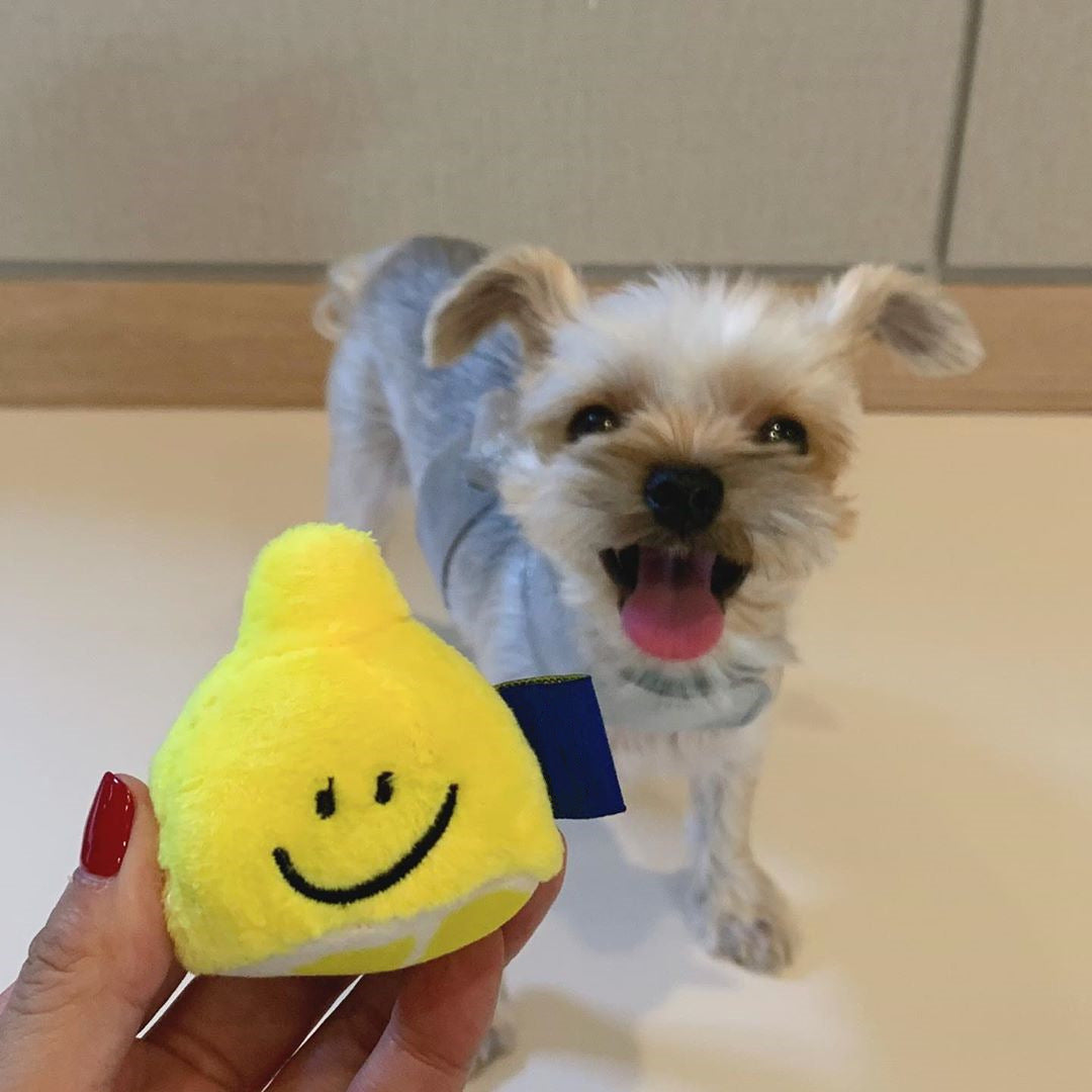KFX-4599101 Plush Lemon Tea Cup Toy with Snack Pocket and BB Call for Pets