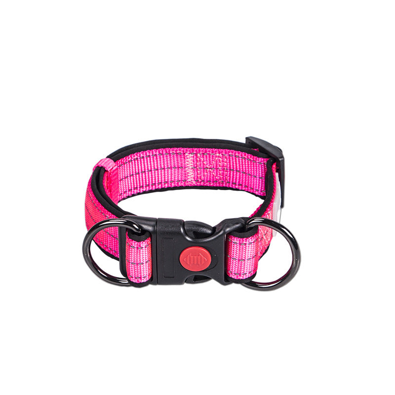KFX-4600253 Collared Dog Leash Set for Small, Medium, and Large Dogs in Vibrant Colors