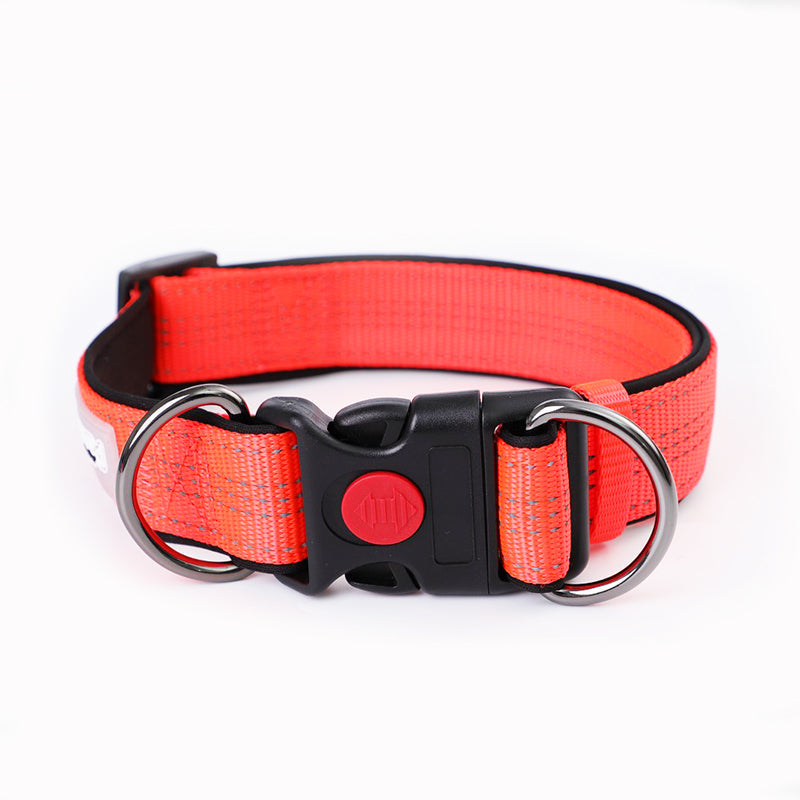 KFX-4600253 Collared Dog Leash Set for Small, Medium, and Large Dogs in Vibrant Colors