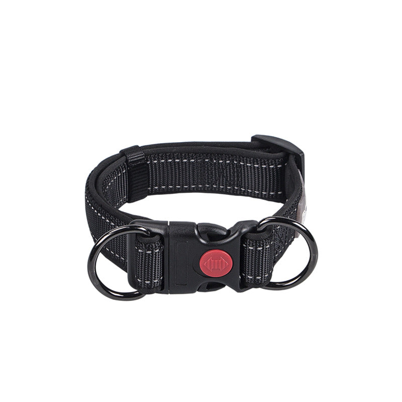 KFX-4600253 Collared Dog Leash Set for Small, Medium, and Large Dogs in Vibrant Colors