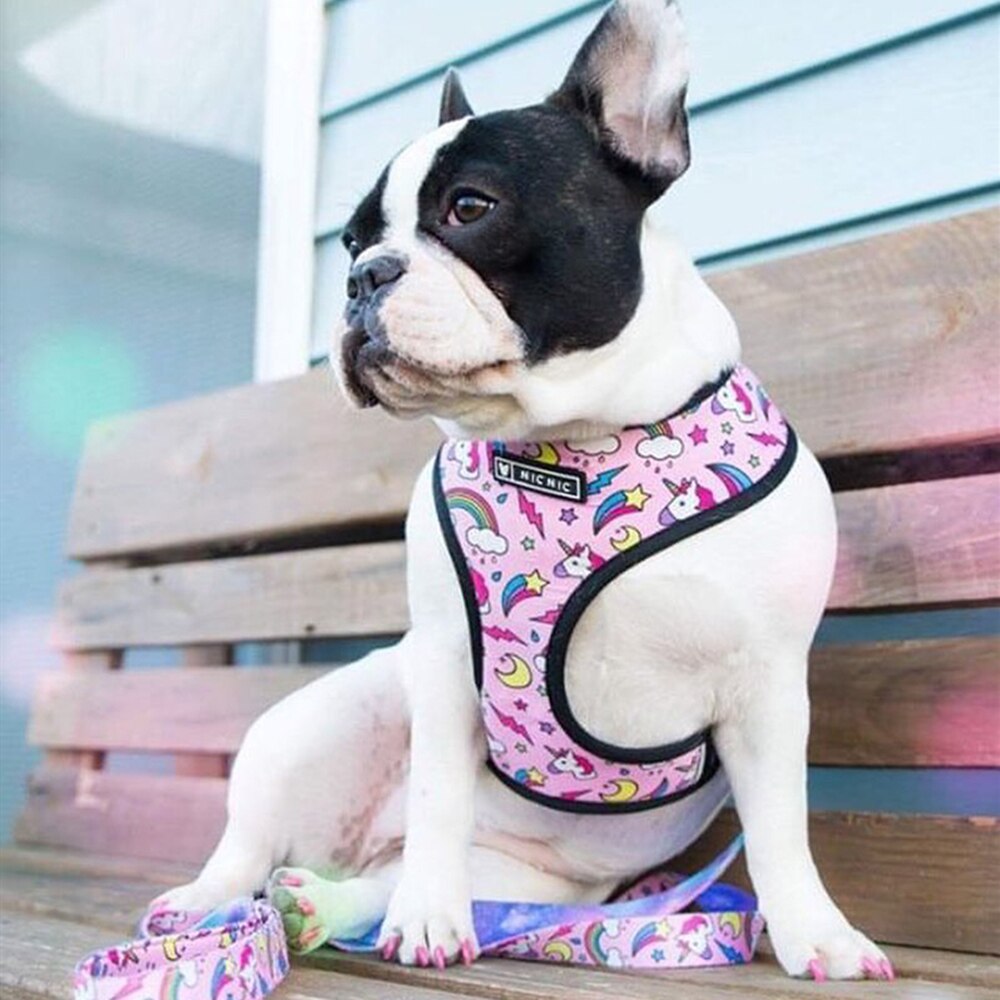 KFX-4603325 Adjustable Polyester Mesh Traction Rope with Chest Strap for Pets - S to XL Sizes Available