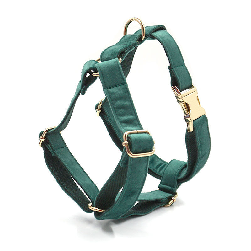 KFX-4605501 Christmas Green Velvet Dog Collar and Leash Set with Gold Buckle