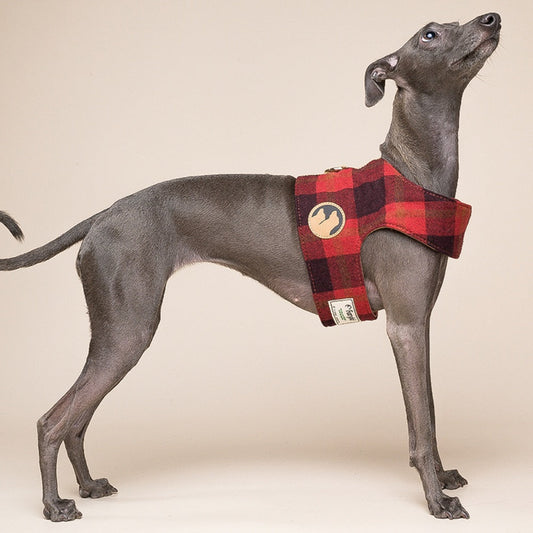 KFX-4609085 Small Dog Harness Vest with Leash - Multiple Colors and Sizes Available