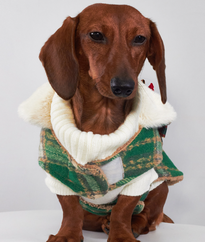 KFX-4614333 Christmas Plaid Dog Coats in Red and Green - European and American Style Pet Clothing