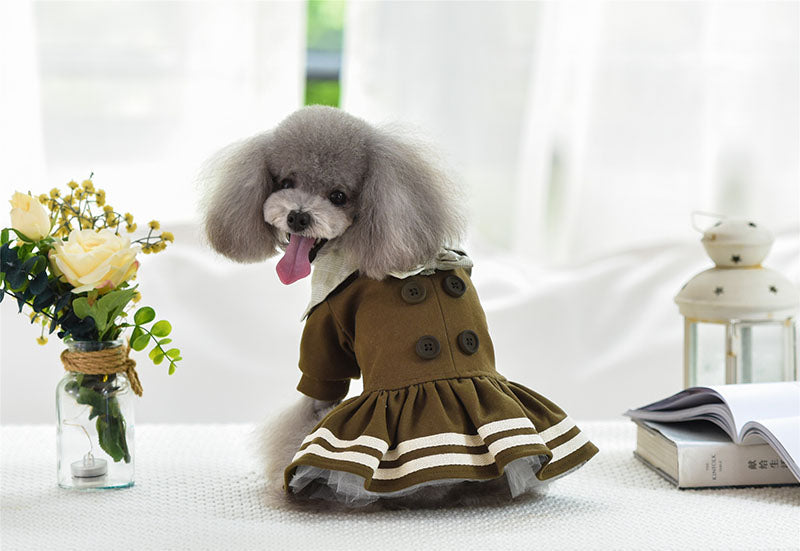 KFX-4616125 Autumn and Winter Pet Cotton Princess Dress with Skirt – Available in Various Sizes