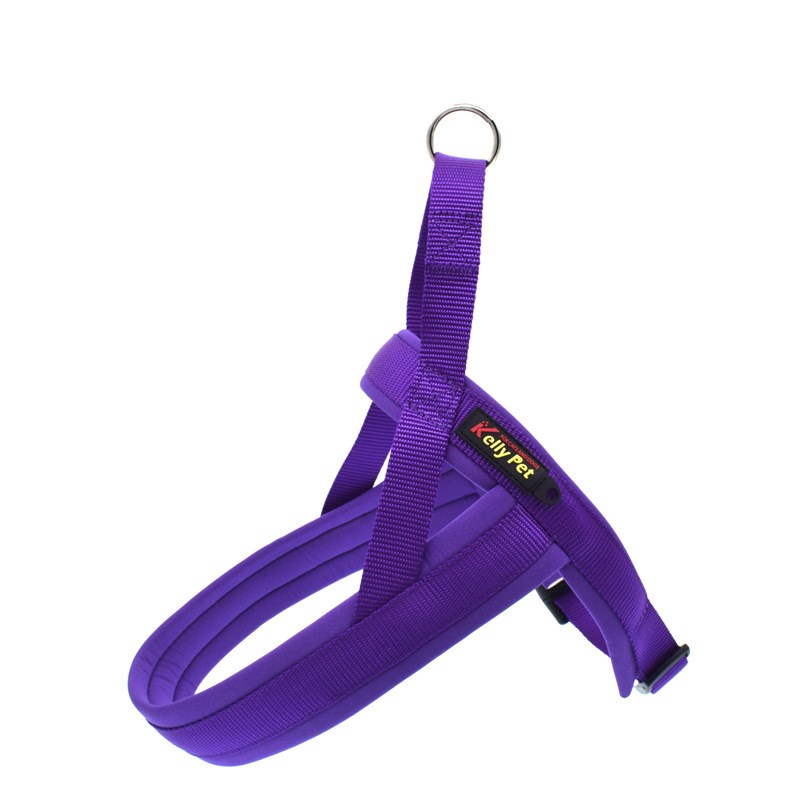 KFX-4619325 Nylon Adjustable Pet Chest Harness and Leash for Dogs in Various Colors