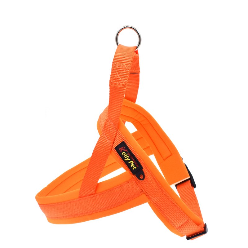 KFX-4619325 Nylon Adjustable Pet Chest Harness and Leash for Dogs in Various Colors
