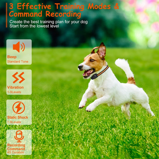 KFX-4620989 Rechargeable Dog Training Collar with 3 Training Modes, IP65 Waterproof, 984FT Range, Safety Lock, and Adjustable Correction Levels