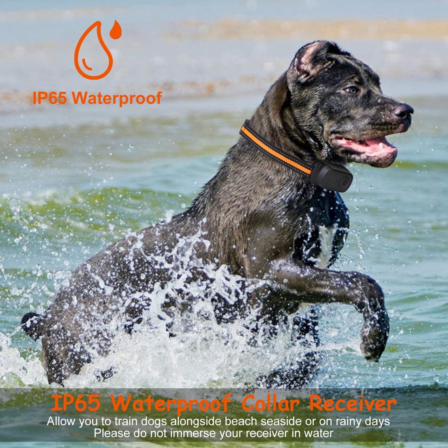KFX-4620989 Rechargeable Dog Training Collar with 3 Training Modes, IP65 Waterproof, 984FT Range, Safety Lock, and Adjustable Correction Levels