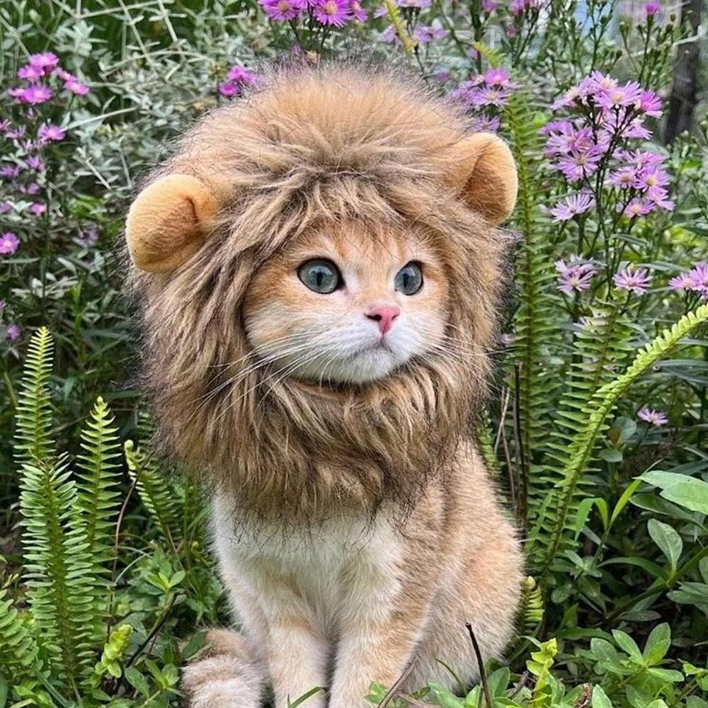KFX-4622781 Lion Mane Costume for Cats and Small Dogs - Realistic Faux Fur Headgear with Adjustable Band