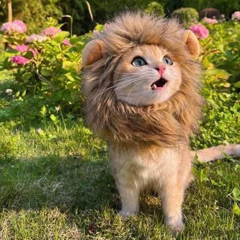 KFX-4622781 Lion Mane Costume for Cats and Small Dogs - Realistic Faux Fur Headgear with Adjustable Band