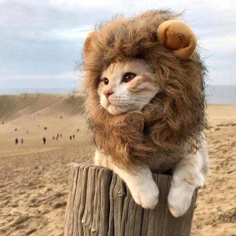 KFX-4622781 Lion Mane Costume for Cats and Small Dogs - Realistic Faux Fur Headgear with Adjustable Band