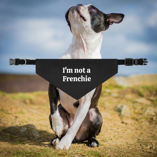 KFX-4629053 Triangular Dog Saliva Towel Collar Scarf for All Seasons in Various Sizes