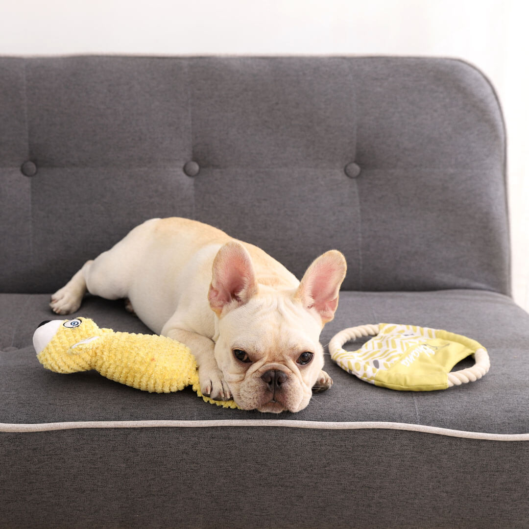 KFX-4630717 Durable Plush Dog Toy with Molar Features for Interactive Pet Play and Training